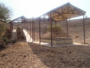 Akal Wood Fossil Park
