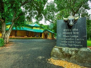 Bison Lodge Museum