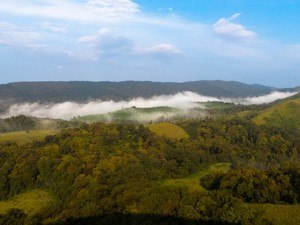 Agumbe Tour Packages