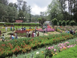 Bryant Park, Kodaikanal - Timings, Entry Fee, Best time to visit