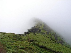 trip to chikmagalur from bangalore