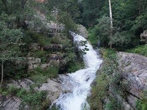 Tada Falls / Ubbalamadugu Falls, Near Srikalahasti