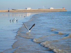 Mandvi Beach