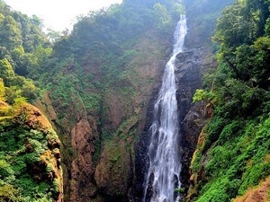 Dabbe Falls