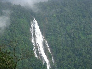 Barkana Falls, Near Agumbe
