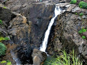 Kunchikal Falls, Near Agumbe
