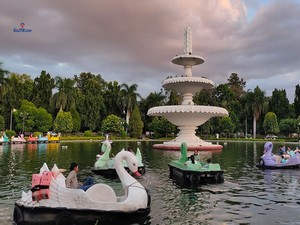 Sukhadia Circle