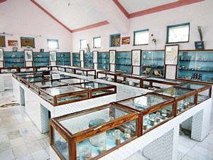 Sea Shell Museum