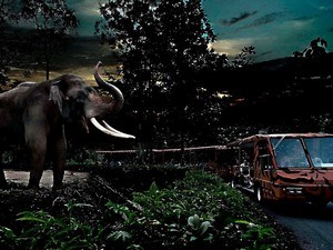 Night Safari