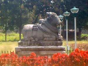 Archaeological Museum - Halebid