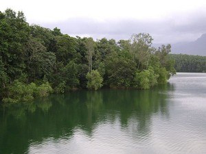 Peppara Dam & Wildlife Sanctuary, Near Ponmudi