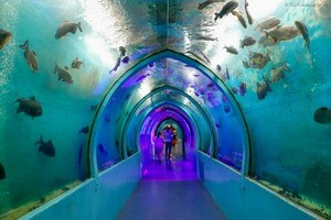 Lokaranjan Aqua World