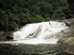 Vaideki Waterfalls