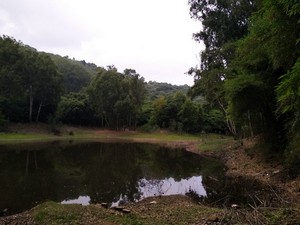 Gangotri Lake