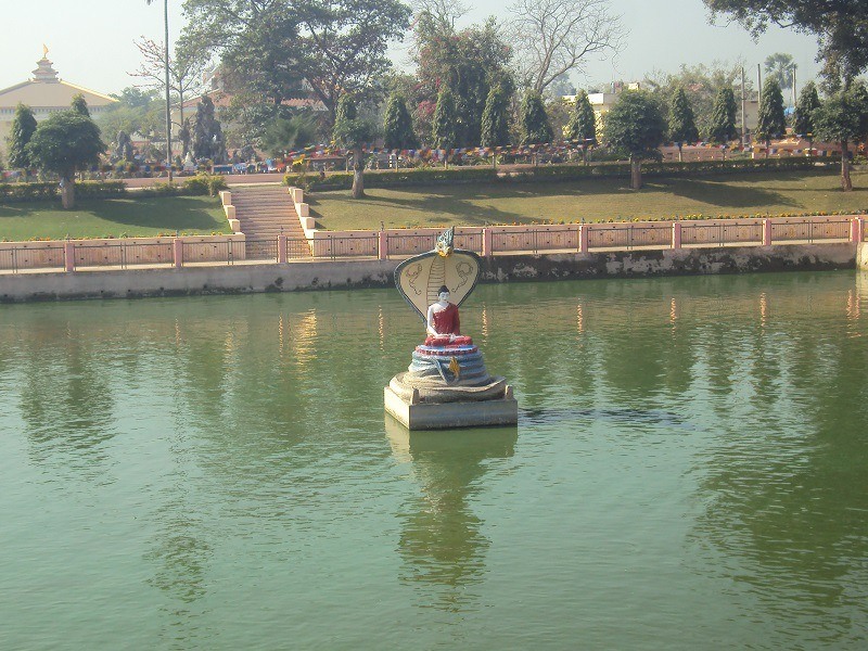 Muchalinda Lake / Lotus Pond