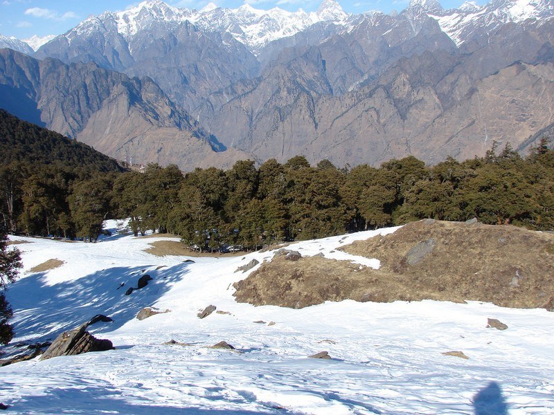 Gorson Bugyal / Gurso Bugyal, Auli - Timings, Accessibility, Best time to  visit