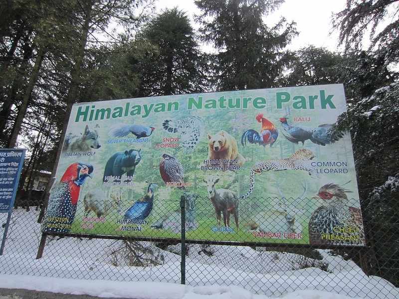 Himalayan Nature Park / Kufri Zoo, Shimla - Timings, Safari cost, Best time  to visit