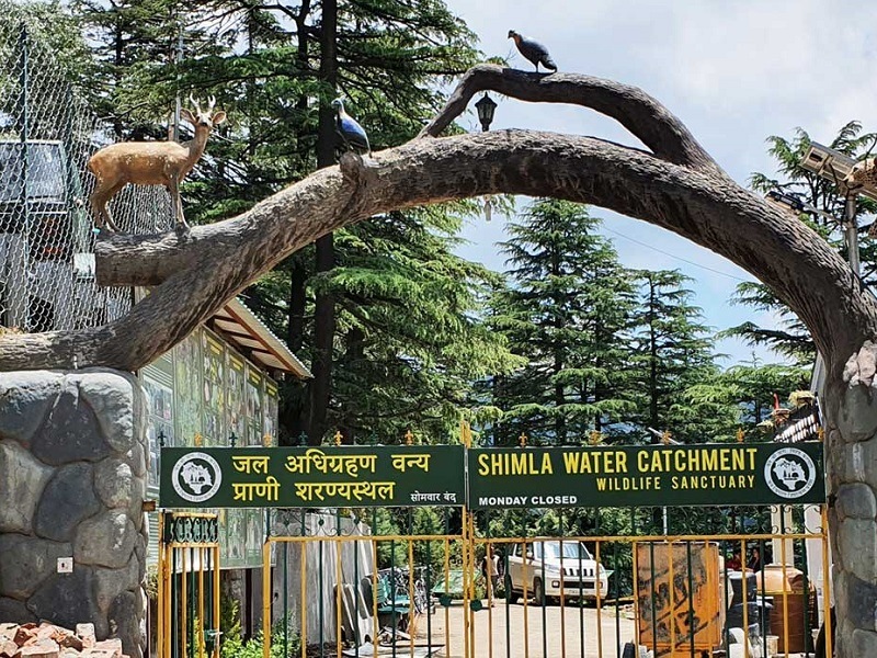 Shimla Water Catchment Wildlife Sanctuary, Shimla - Timings, Safari cost, Best time to visit Shimla Water Catchment Wildlife Sanctuary, Shimla - Timings, Safari cost, Best time to visit