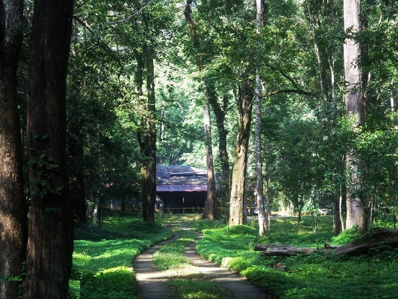 Manampalli Forest
