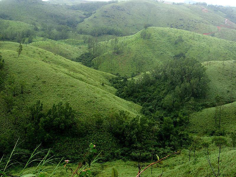 idukki vagamon tourist places