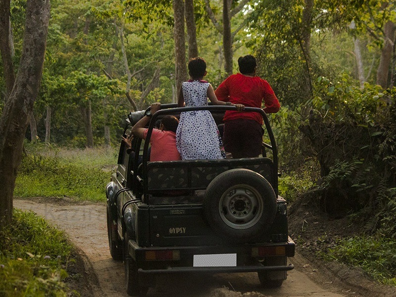 jeep safari timings in kaziranga