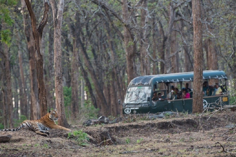 nagarhole bus safari