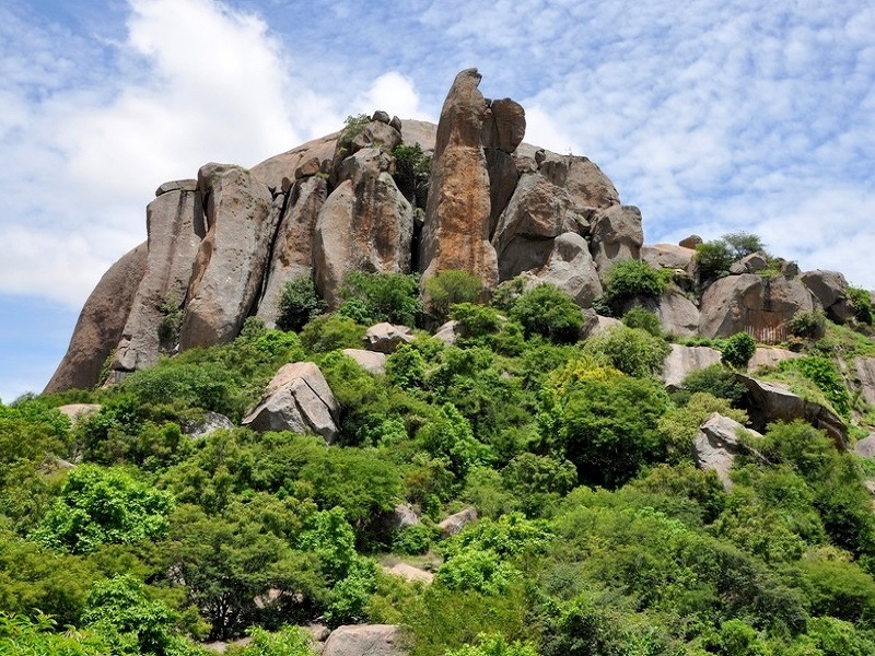 15 Night Trek in Bangalore