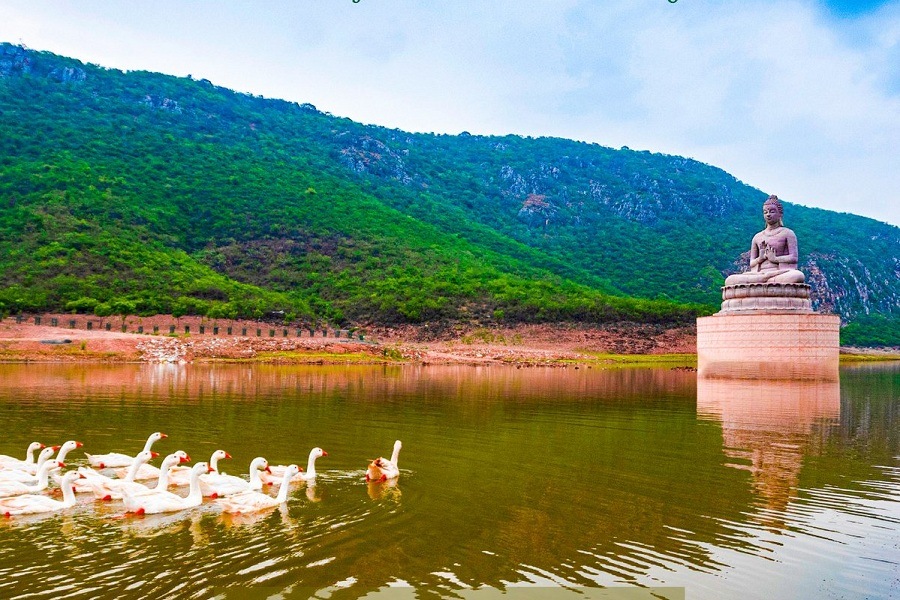 safari in rajgir