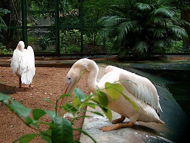 Thrissur Zoo