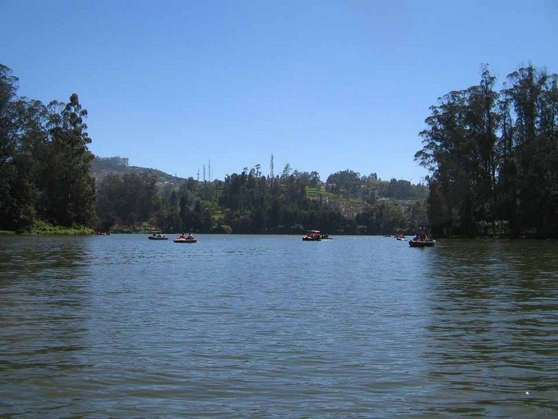 Ooty Lake & Boat Club, Tamil Nadu