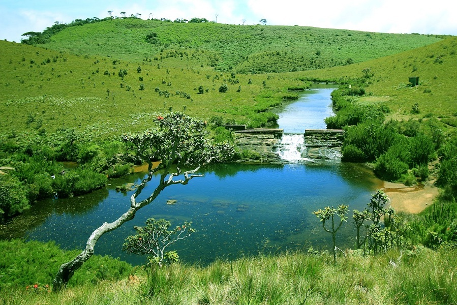 Nuwaraeliya