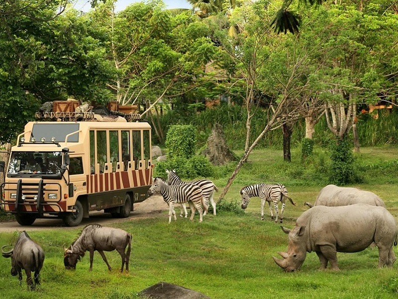 Safari World, Bangkok
