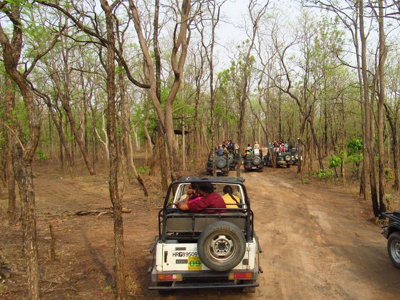 Karmajhiri Jeep Safari