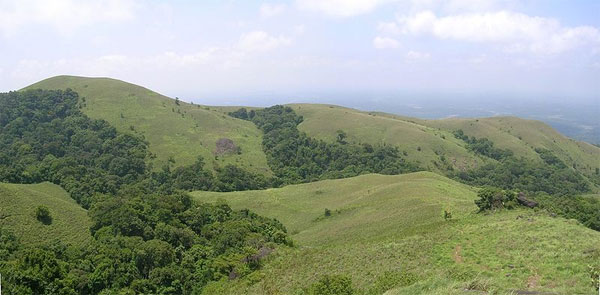 Brahmagiri Hills / Sanctuary - Trek