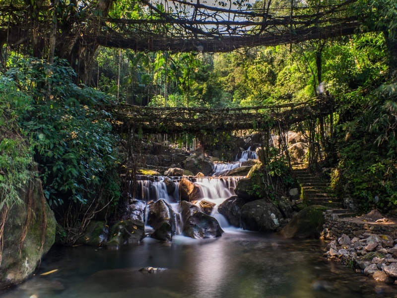 Famous Double Decker living roots bridge near Nongriat village,  Cherrapunjee, Meghalaya, India. This bridge is formed by training tree  roots over years to knit together. Photos | Adobe Stock