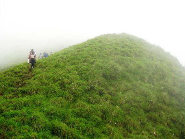 Pushpagiri Hills / Sanctuary - Trek