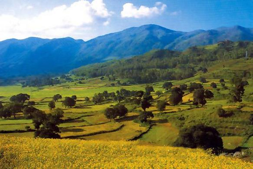 araku valley tourist spot