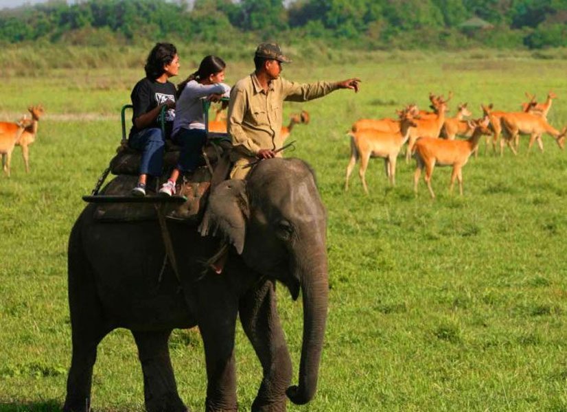 satpura safari resort madhai