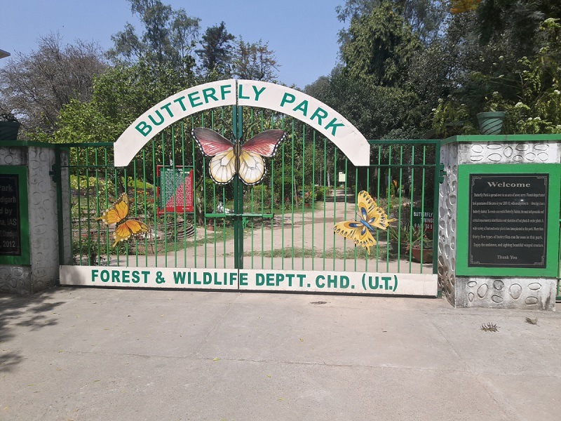 Butterfly Park, Chandigarh 