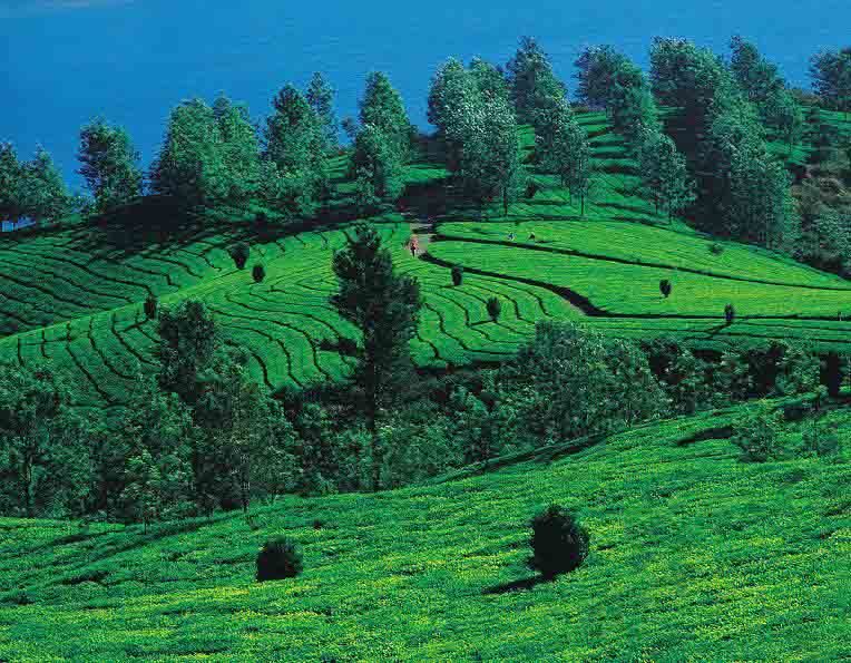 Vythiri, Kerala