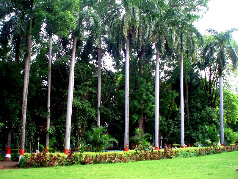 pune places to visit in bund garden