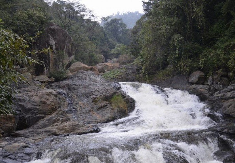 Puliyancholai Falls