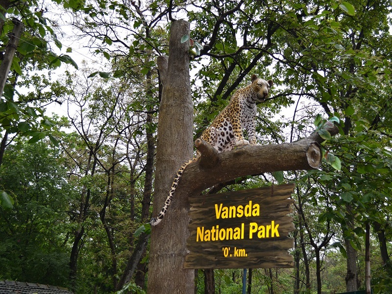 15 Best Wildlife Sanctuaries & National Parks in Gujarat