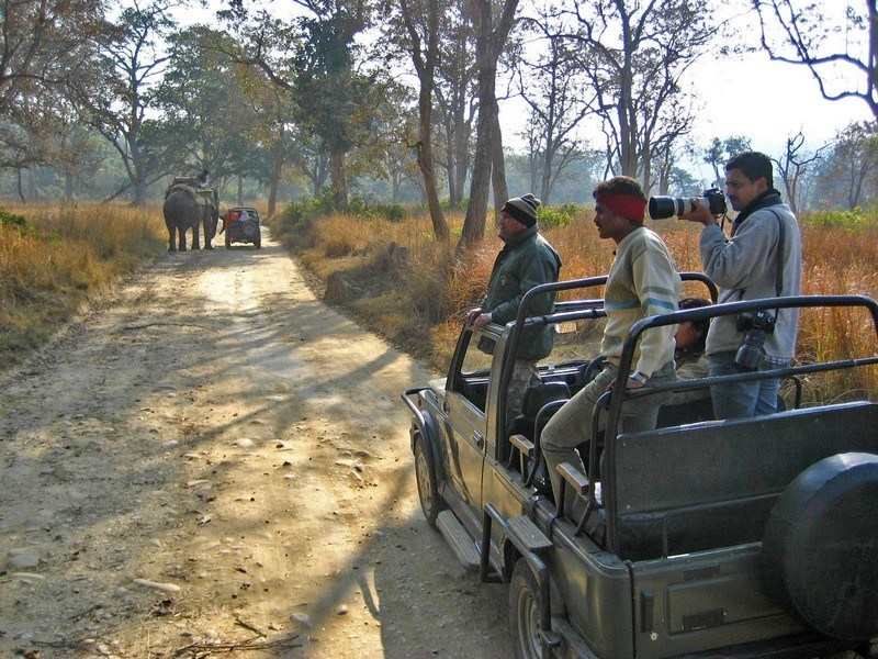 Jhirna Jeep Safari