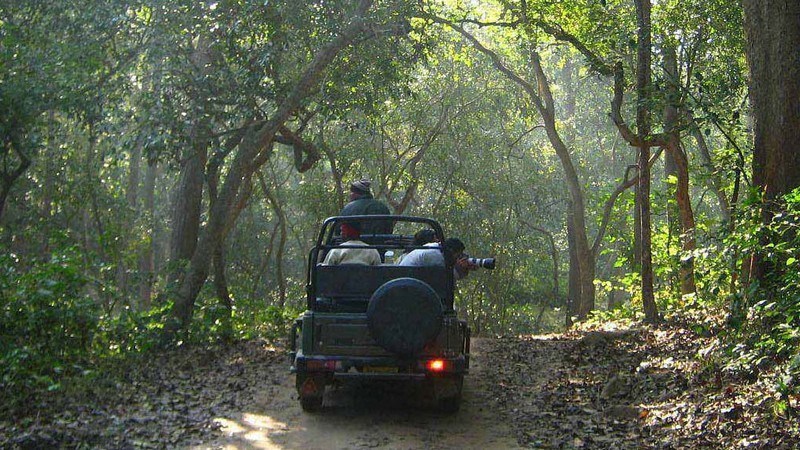 bijrani zone safari timings