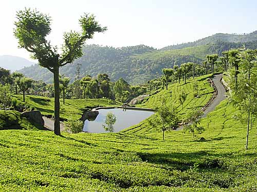 kotagiri tourist places tamil nadu