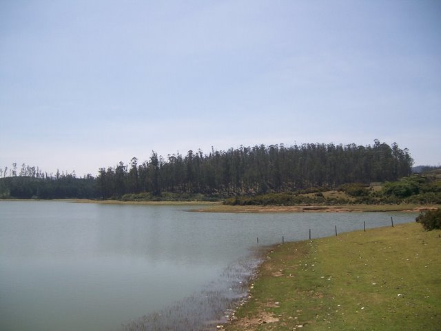 Kamaraj Sagar / Sandynalla Reservoir & Pine Forest