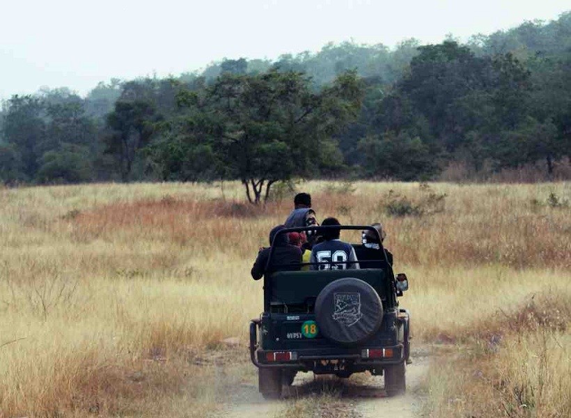 Hinauta Jeep / Canter Safari, Panna National Park - Timings, Safari ...