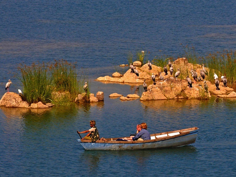 Ken River Boating, Panna National Park - Timings, Safari cost, Best ...