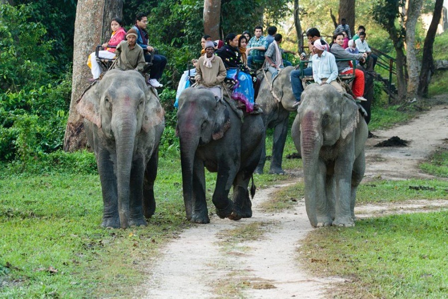 safari timings in bandhavgarh